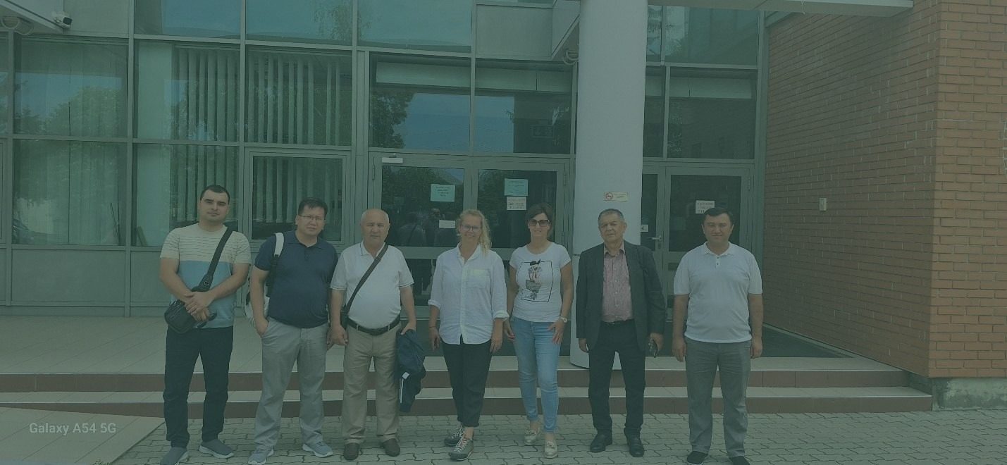 Xalqaro hamkorlik
