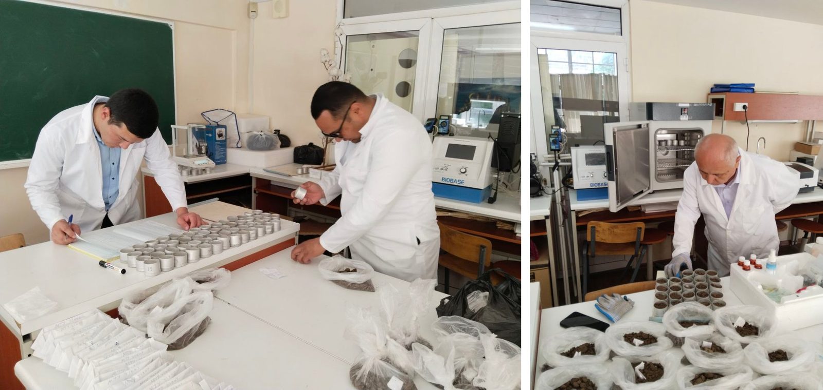 Laboratoriya ishlari